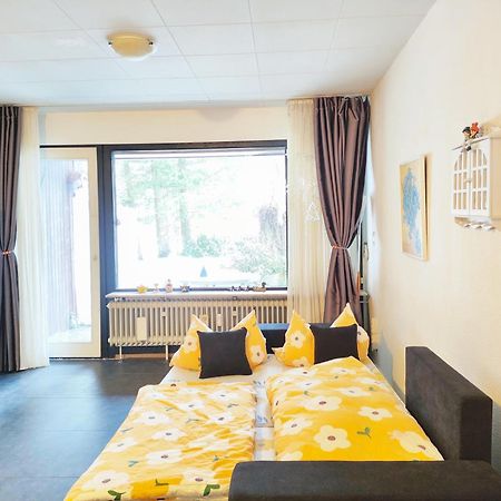 Ferienwohnung Schoene Wohnung 2D-Gebaeude Mit Mini-Garten Schoenwald im Schwarzwald Exterior photo