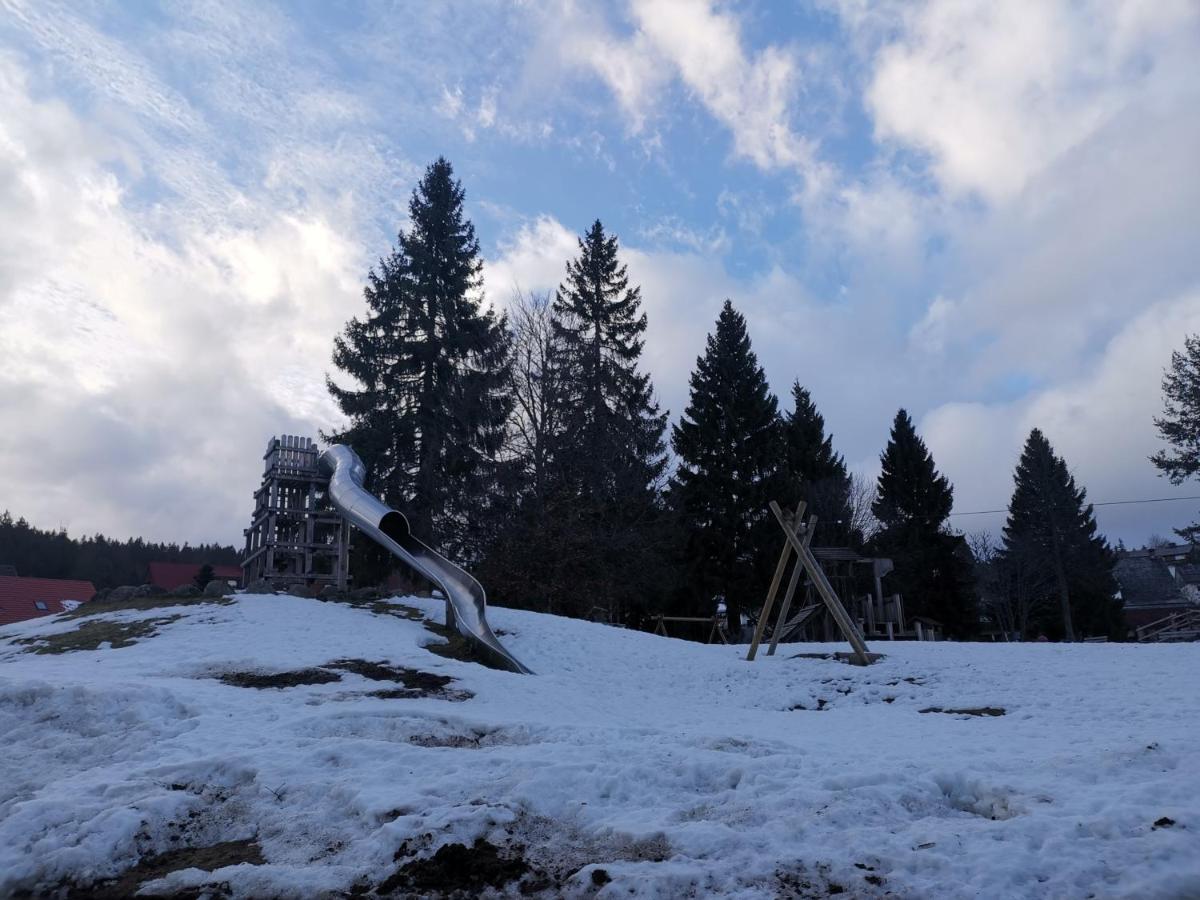 Ferienwohnung Schoene Wohnung 2D-Gebaeude Mit Mini-Garten Schoenwald im Schwarzwald Exterior photo