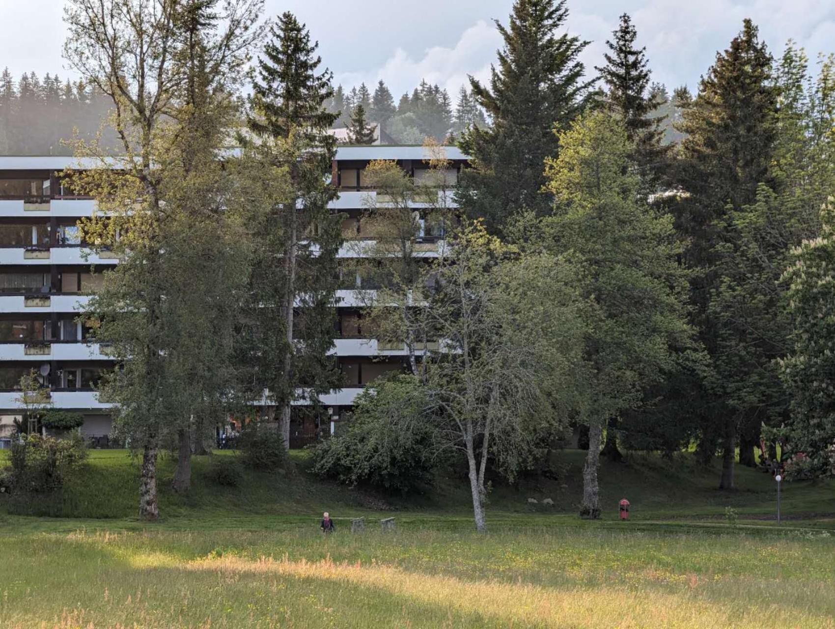 Ferienwohnung Schoene Wohnung 2D-Gebaeude Mit Mini-Garten Schoenwald im Schwarzwald Exterior photo