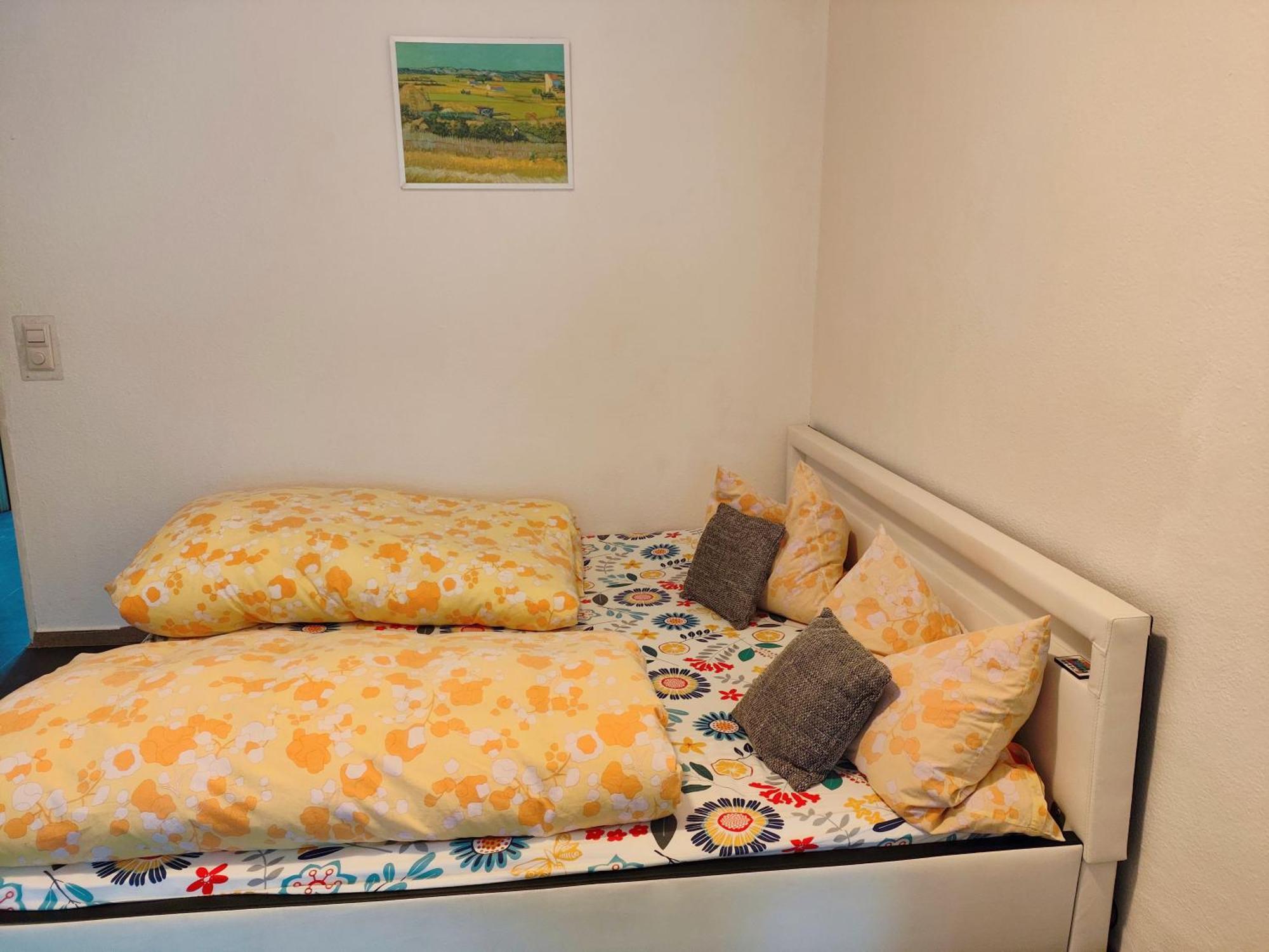 Ferienwohnung Schoene Wohnung 2D-Gebaeude Mit Mini-Garten Schoenwald im Schwarzwald Exterior photo